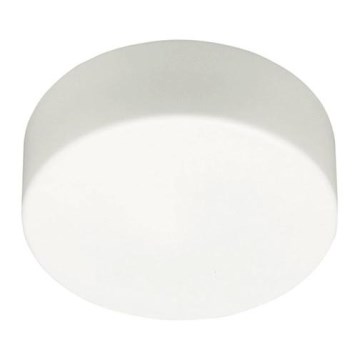 Brilliant - Stropní svítidlo ISAR 1xE27/40W/230V pr. 20 cm